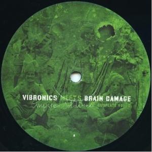 Vibronics Meets Brain...