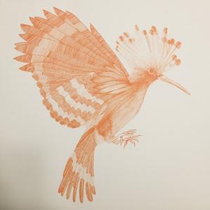 Cocanha - Puput (LP, Album)