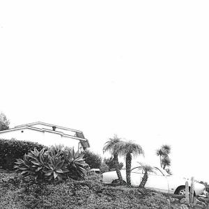 Timber Timbre - Hot Dreams...